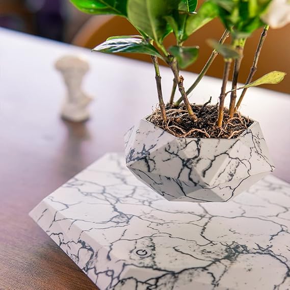 Levitating - Floating Flower Pot with Wood Base