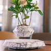 Levitating - Floating Flower Pot with Wood Base