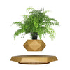 Levitating - Floating Flower Pot with Wood Base