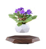 Levitating - Floating Flower Pot with Wood Base