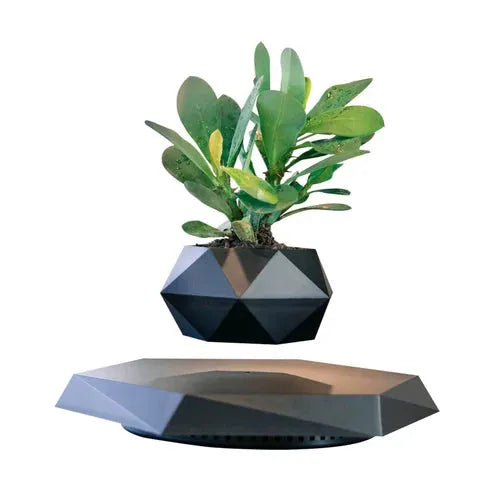 Levitating - Floating Flower Pot with Wood Base